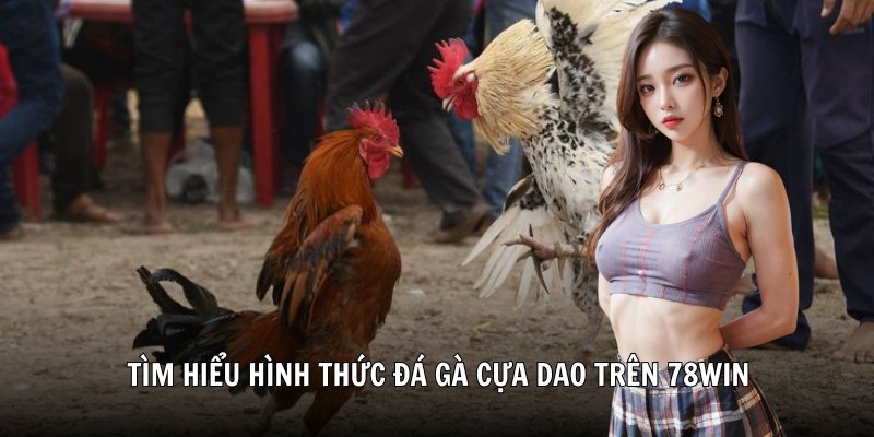 Tìm hiểu hình thức đá gà cựa dao trên 78WIN
